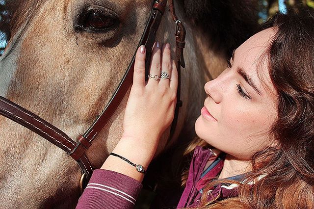 MONTAINE DAUXERE – UN PONEY JAUNE