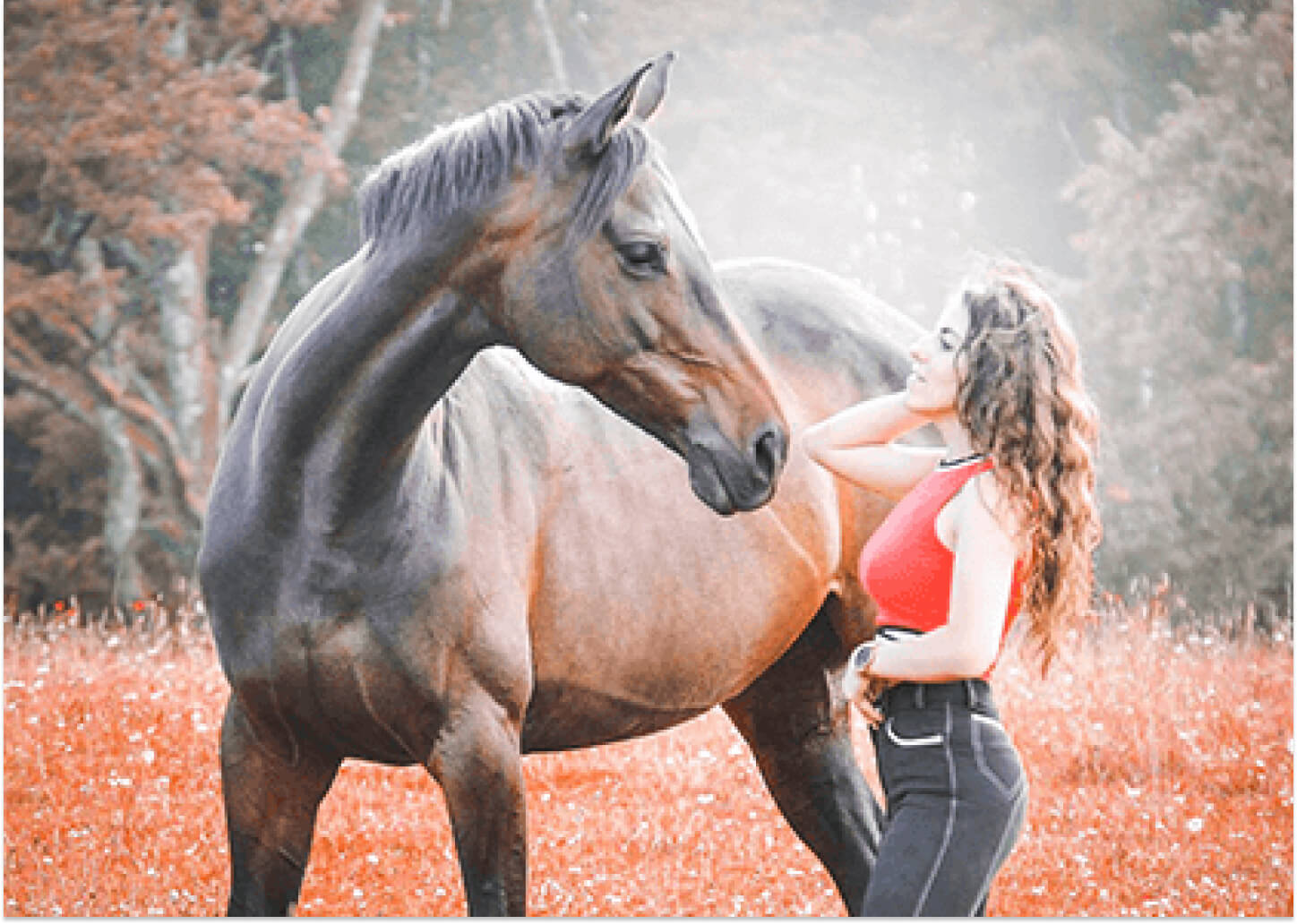 ALICIA LAMARTINE – QIA DE LA BARRIÈRE