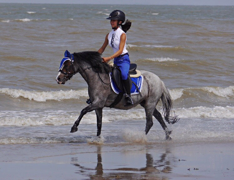 LOUISE SCHMIDT - DEUX CŒURS DE PONEYS