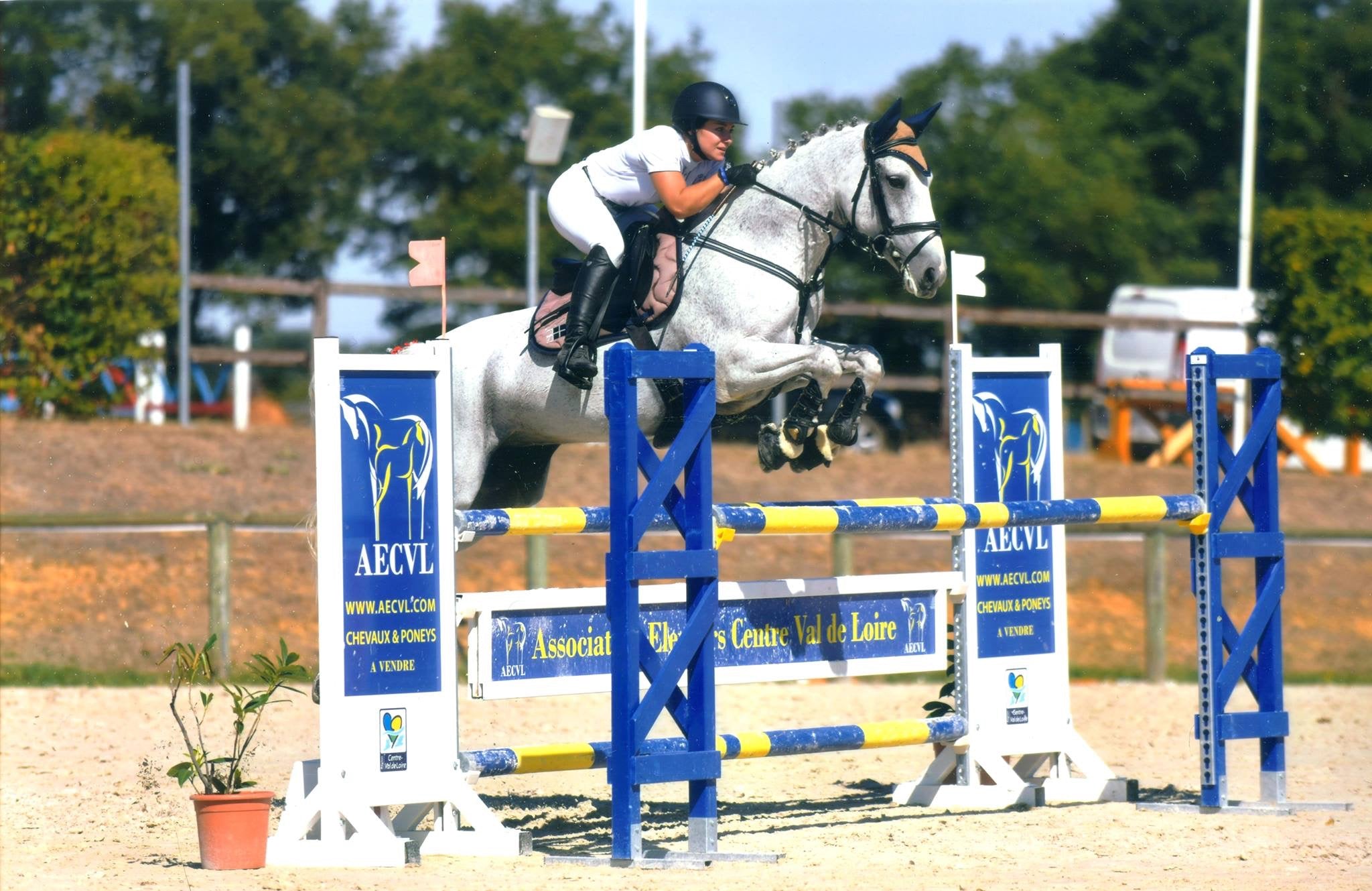 LEA LOUIS - SAPRISTI_ONC