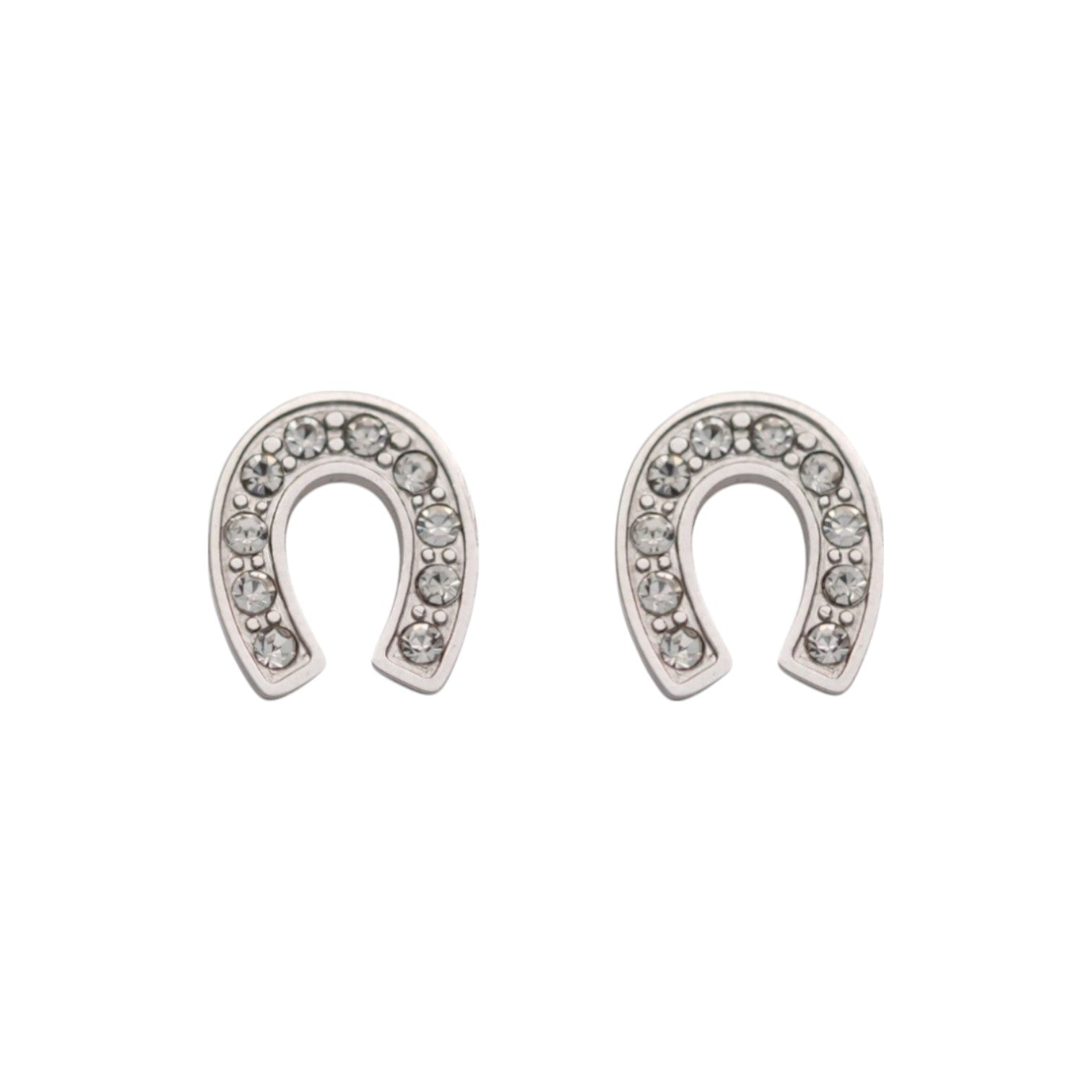 Boucles d'oreilles Lady acier inox