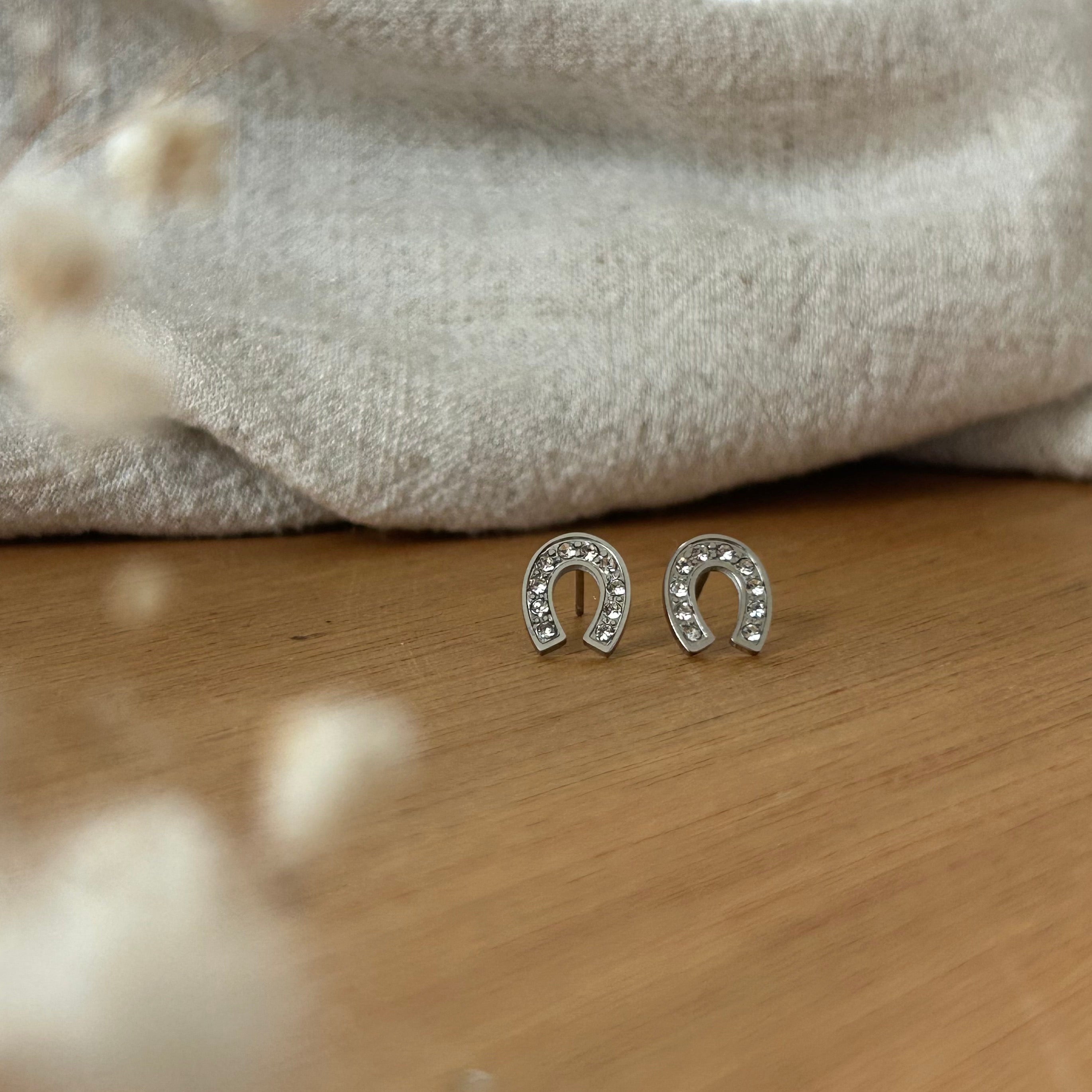 Boucles d'oreilles Lady acier