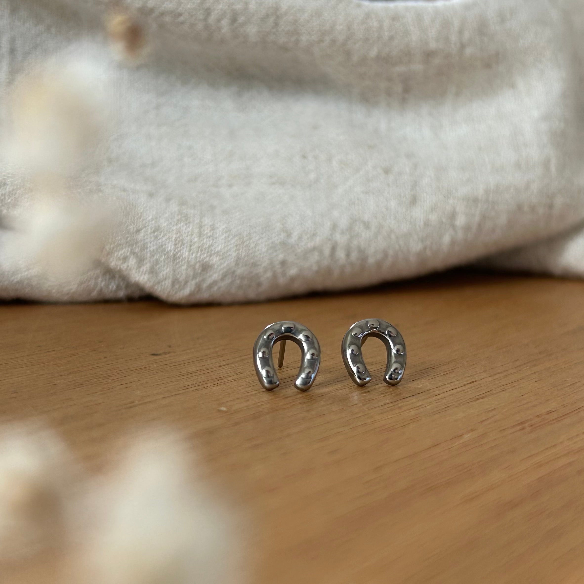 Boucles d'oreilles Cary acier