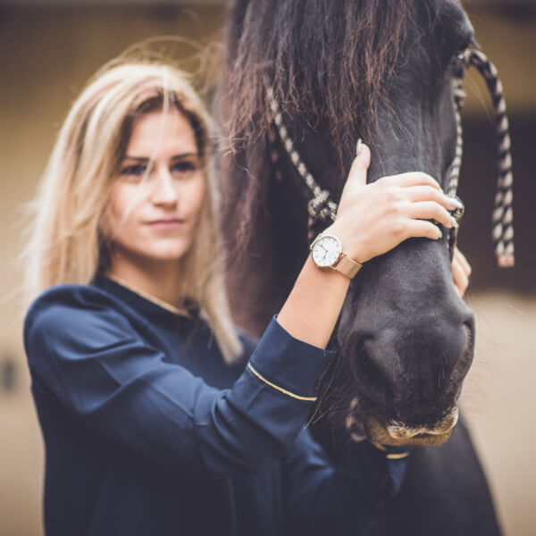 Montre Seven argenté Equestrian shop
