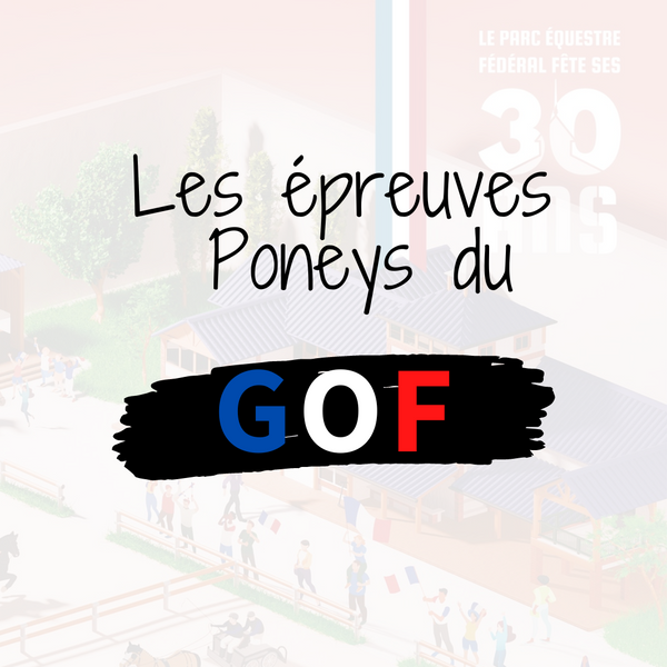 Les épreuves du Generali Open de France Poneys