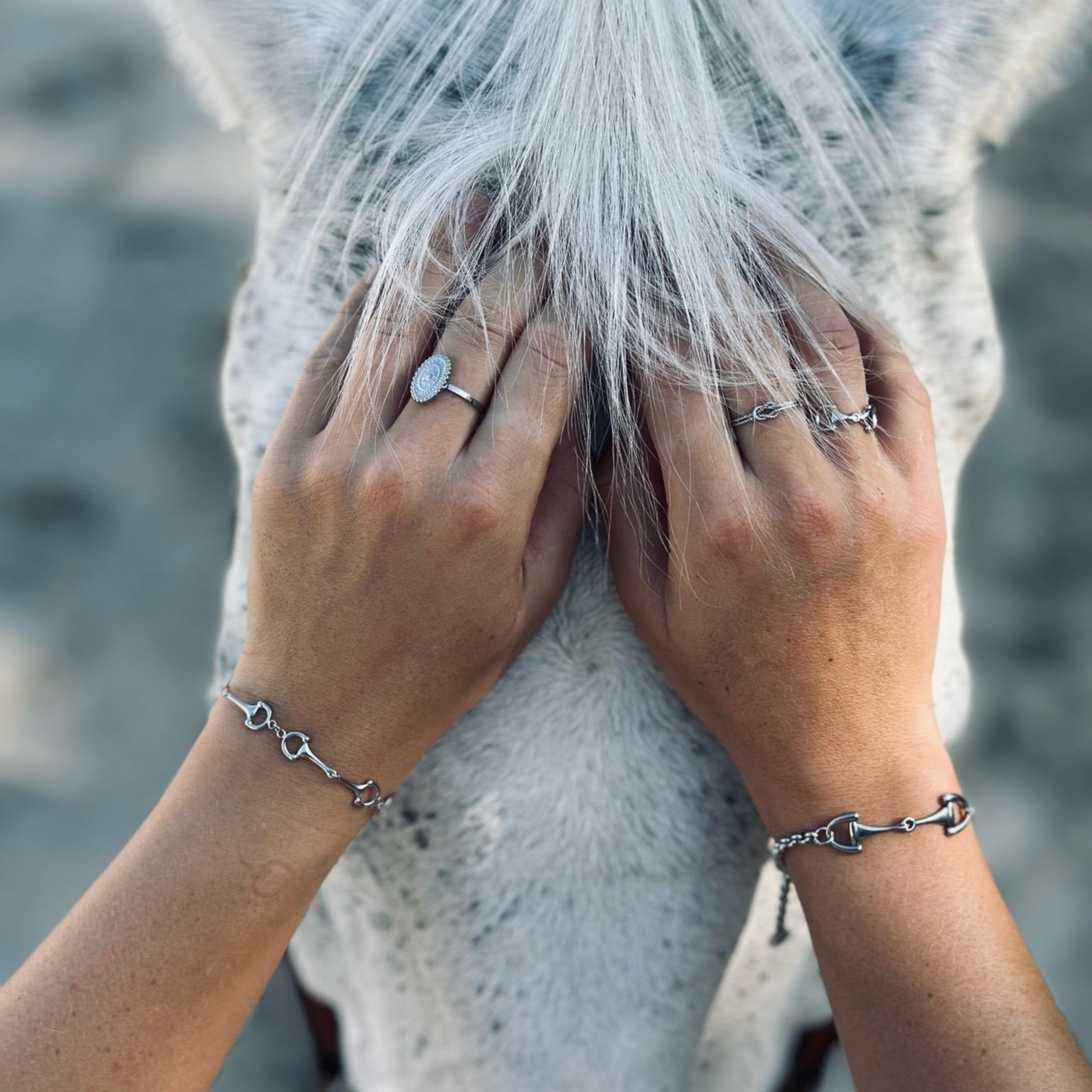 Maya - Stainless steel bit ring