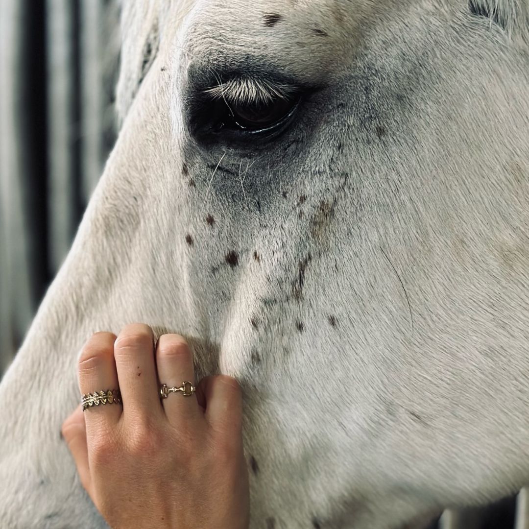 Maya - Stainless steel bit ring