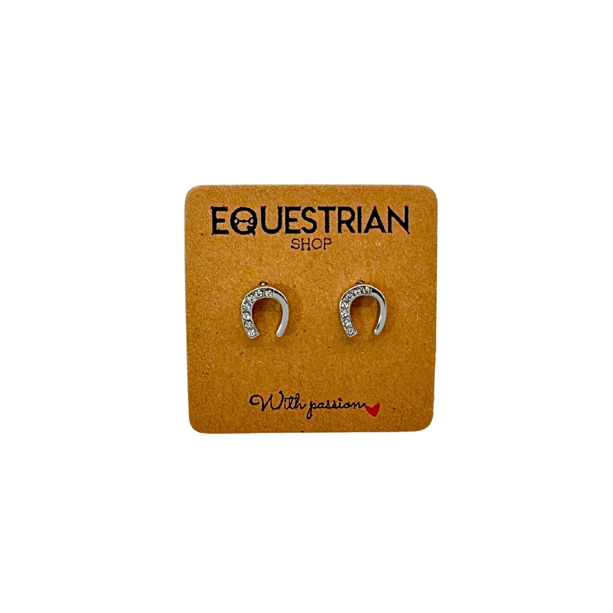 Boucles d'oreilles Emy argentée