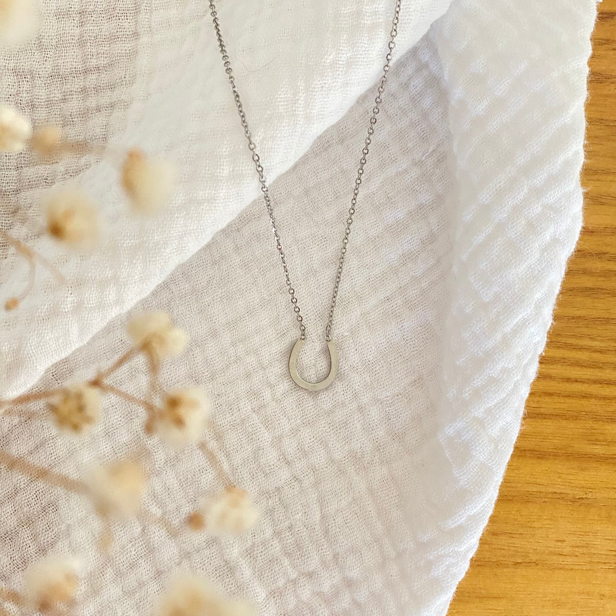 collier fiera acier posé