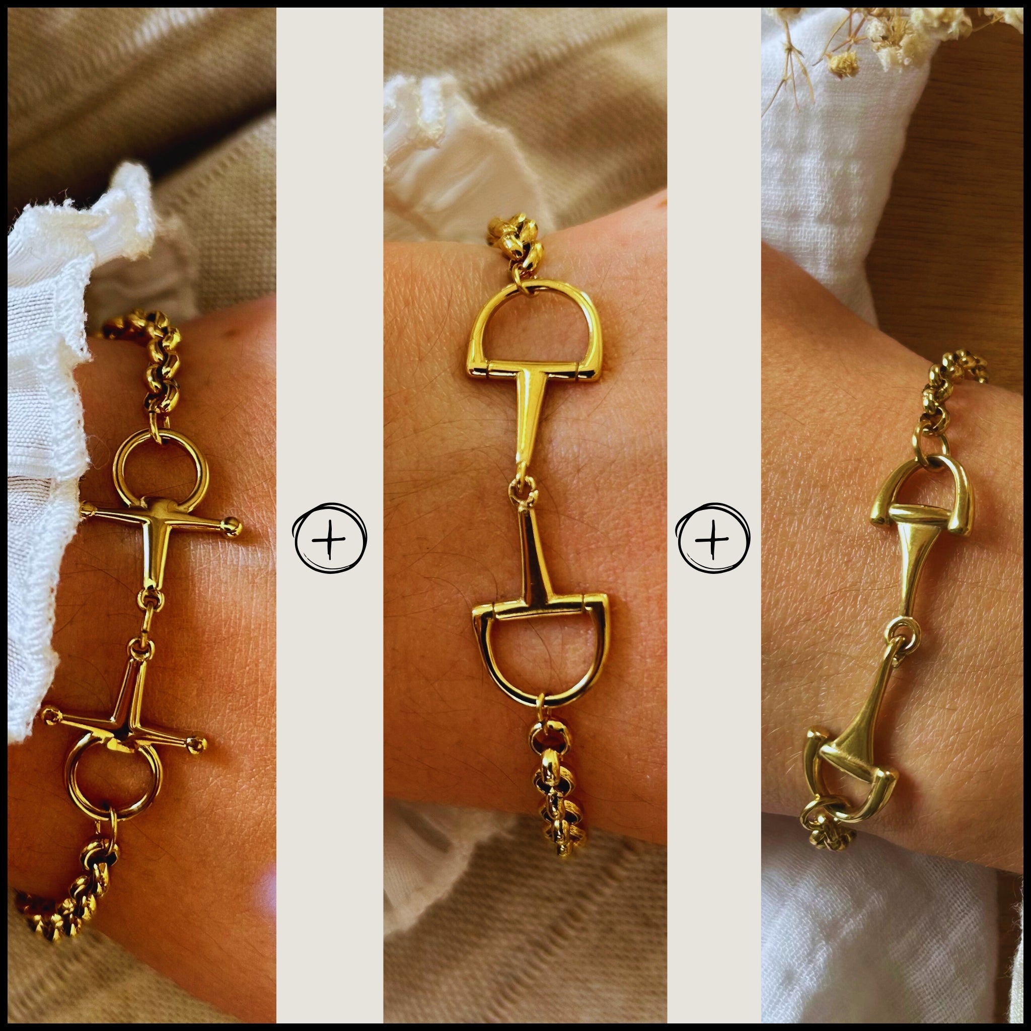 Pack multi Cisko / Oly / Verona