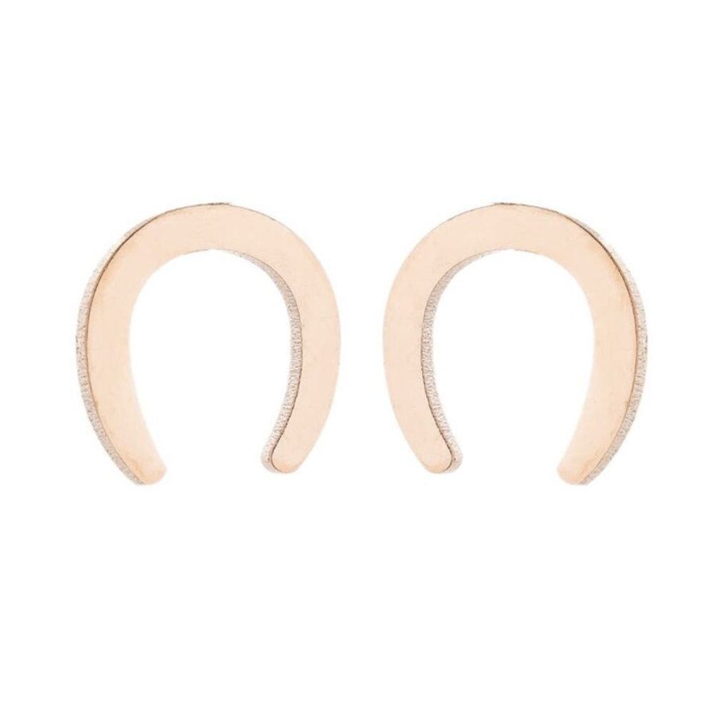 Classic horseshoe earrings stainless steel