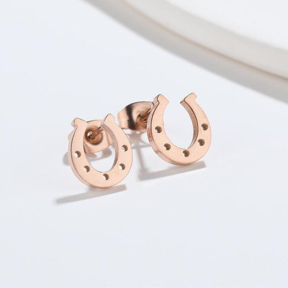 Stainless steel horseshoe earrings